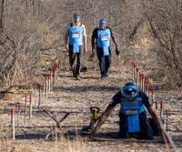 [ẢNH] Hoàng tử Harry tiếp nối hình ảnh công nương Diana trong chuyến thăm miền Nam châu Phi