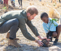 [ẢNH] Hoàng tử Harry tiếp nối hình ảnh công nương Diana trong chuyến thăm miền Nam châu Phi