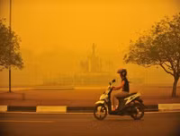 Kinh sợ trước sức tàn phá của 