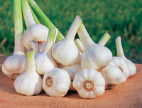 [ẢNH] Những loại thực phẩm giúp tăng cường hệ miễn dịch