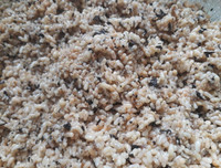 [ẢNH] Độc đáo những món ăn chế biến từ trứng côn trùng