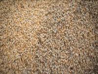 [ẢNH] Độc đáo những món ăn chế biến từ trứng côn trùng