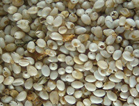 [ẢNH] Độc đáo những món ăn chế biến từ trứng côn trùng