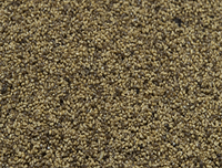 [ẢNH] Độc đáo những món ăn chế biến từ trứng côn trùng