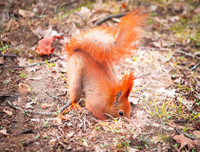 [ẢNH] Những khám phá thú vị về thế giới động vật khiến nhiều người phải kinh ngạc