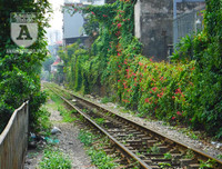 [Ảnh] Những khoảnh khắc bình dị nơi ‘xóm đường tàu’ khi bình minh lên