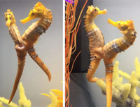 [ẢNH] Top 7 loài động vật có hình thức sinh sản 