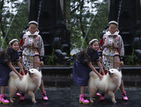 [ẢNH] NTK Công Huân: 