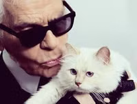 [ẢNH] Giật mình trước tài sản kếch xù của những thú cưng giàu nhất thế giới