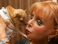 [ẢNH] Giật mình trước tài sản kếch xù của những thú cưng giàu nhất thế giới