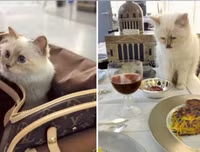 [ẢNH] Giật mình trước tài sản kếch xù của những thú cưng giàu nhất thế giới