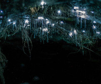 [ẢNH] Trầm trồ trước những hang động tự nhiên đẹp nhất thế giới