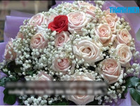 [Ảnh] Cận cảnh những đám cưới kỳ lạ 