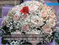 [Ảnh] Cận cảnh những đám cưới kỳ lạ 