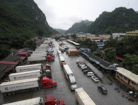 [ẢNH] Các mặt hàng nông sản trái cây Việt 