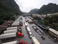 [ẢNH] Các mặt hàng nông sản trái cây Việt 