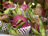 [ẢNH] Các mặt hàng nông sản trái cây Việt 