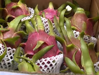 [ẢNH] Các mặt hàng nông sản trái cây Việt 