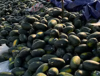 [ẢNH] Các mặt hàng nông sản trái cây Việt 