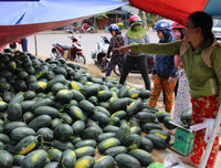 [ẢNH] Các mặt hàng nông sản trái cây Việt 