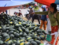 [ẢNH] Các mặt hàng nông sản trái cây Việt 