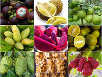 [ẢNH] Các mặt hàng nông sản trái cây Việt 