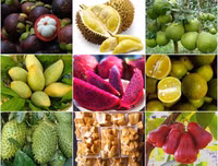 [ẢNH] Các mặt hàng nông sản trái cây Việt 