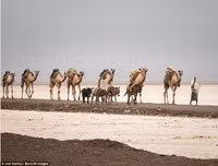 [ẢNH] Những điều kỳ lạ ở đất nước có lịch 13 tháng