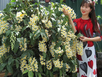 [ẢNH] Những phụ nữ 