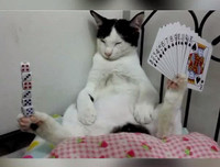 [ẢNH] Những kỷ lục Guinness kỳ lạ nhất hành tinh