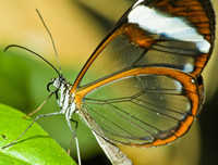 [ẢNH] Chiêm ngưỡng 