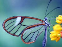 [ẢNH] Chiêm ngưỡng 