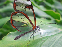 [ẢNH] Chiêm ngưỡng 