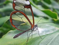 [ẢNH] Chiêm ngưỡng 
