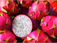 [ẢNH] Bất ngờ với công dụng sức khỏe của những loài cây mang tên động vật