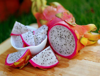 [ẢNH] Bất ngờ với công dụng sức khỏe của những loài cây mang tên động vật