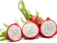 [ẢNH] Bất ngờ với công dụng sức khỏe của những loài cây mang tên động vật