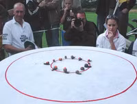 Ngoài chọi trâu, trên thế giới còn những môn thi đấu kỳ dị nào dành cho động vật?