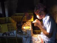 [ẢNH] Top những công việc kỳ lạ nhưng kiếm 