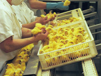 [ẢNH] Top những công việc kỳ lạ nhưng kiếm 