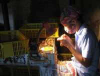 [ẢNH] Top những công việc kỳ lạ nhưng kiếm 