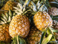 Những hoa quả nguy hại khôn lường đối với mẹ bầu