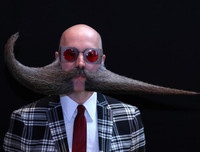 [ẢNH] Ấn tượng những bộ râu 