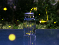 [ẢNH] Khám phá những 