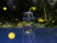 [ẢNH] Khám phá những 