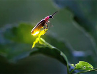 [ẢNH] Khám phá những 