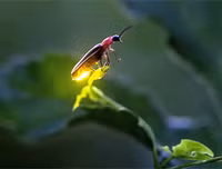 [ẢNH] Khám phá những 