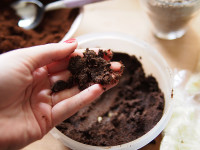 Những cách tẩy tế bào chết cho da mặt giúp da trắng sáng lại an toàn