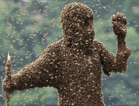 [ẢNH] Top 10 cuộc thi kỳ quặc và hài hước nhất thế giới