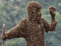 [ẢNH] Top 10 cuộc thi kỳ quặc và hài hước nhất thế giới